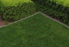 Forrest ACTlawn-and-turf-12.jpg; ?>