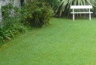Forrest ACTlawn-and-turf-2.jpg; ?>