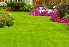 Forrest ACTlawn-and-turf-35.jpg; ?>
